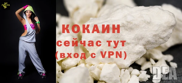 СК Строитель