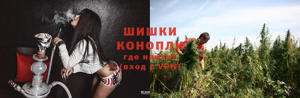 прущий лед Богородицк