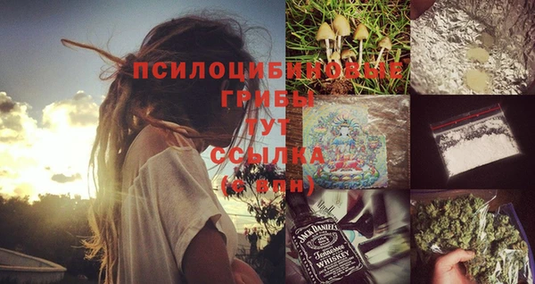 соль ск Струнино