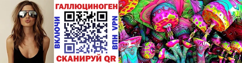 как найти наркотики  Гудермес  Галлюциногенные грибы Magic Shrooms 