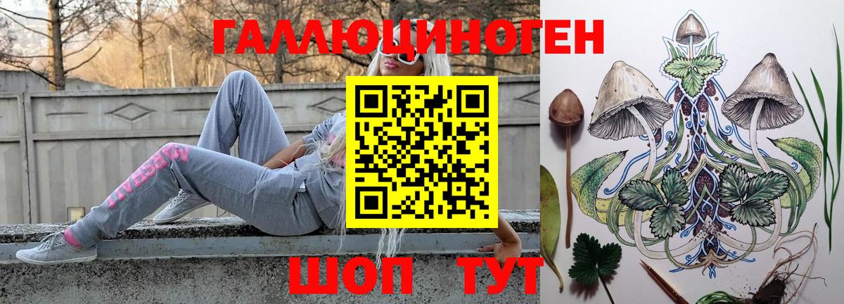 Гудермес  Псилоцибиновые грибы GOLDEN TEACHER  Вход с VPN 